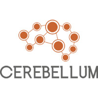 Cerebellum