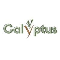 Calyptus