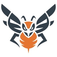 CYBER HORNET ETFs